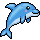 Dolphin Discovery: Summer in Colors